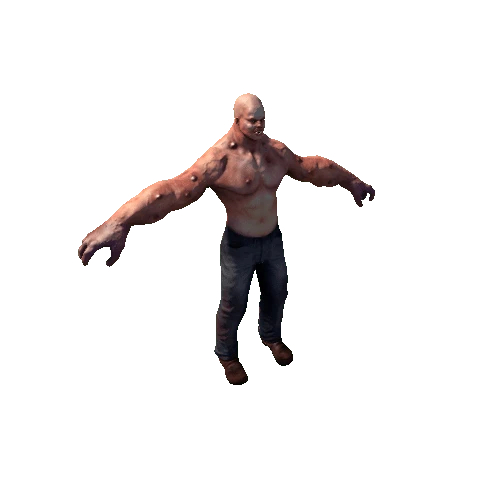 Muscled mutant